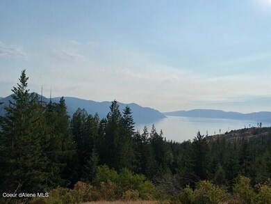 Monarch View 4