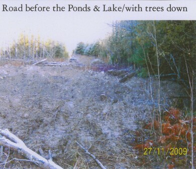 Rd before pond & lake
