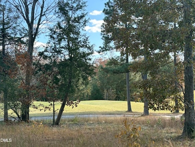 453 Golfers View, Pittsboro, NC 27312 - photo 2