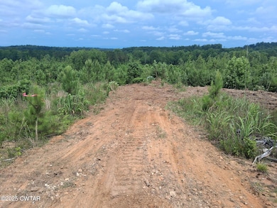 3 Tucker Rd, Bath Springs, TN 38311 - photo 6