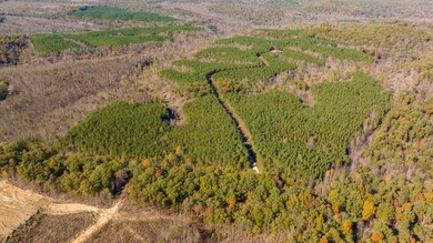 0 Old Highway 18 unit RTC2588334, Stewart, TN 37175 - photo 5