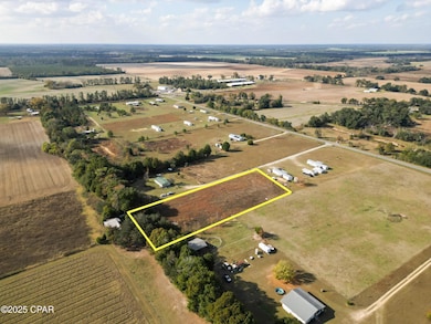 0 Welcome Church Rd unit 782071, Sneads, FL 32460 - photo 5