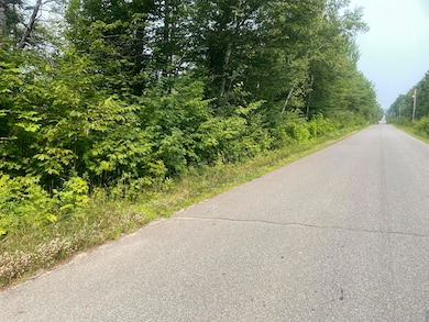 #00 Huff Corner Rd, Wellington, ME 04942 - photo 2