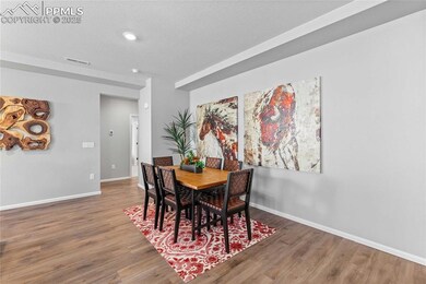 6234 Lythmore Grove, Colorado Springs, CO 80927 - photo 2