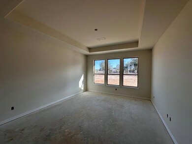 115 Brush Creek Dr, Boyd, TX 76023 - photo 7