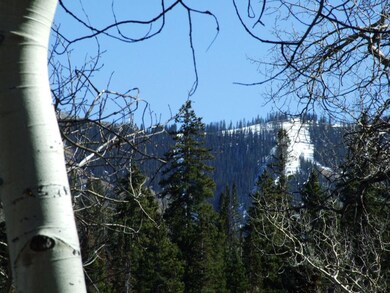 Ski Area