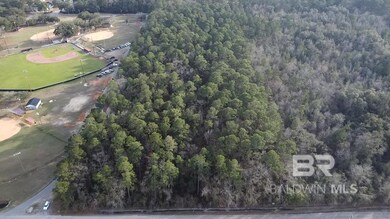 0 Baldwin Rd unit 2 374664, Satsuma, AL 36572 - photo 4