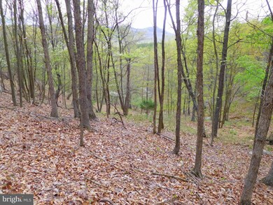 115 Trough View Rd, Moorefield, WV 26836 - photo 3