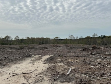 00 Dwan Rd, Ovett, MS 39464 - photo 3