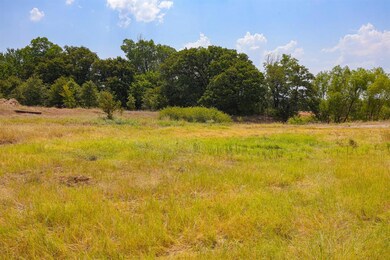 Lot 14 Aslan Rd, Poolville, TX 76487 - photo 2