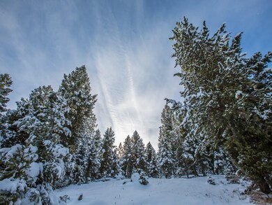 TBD Great Point Rd, Big Sky, MT 59716 - photo 4