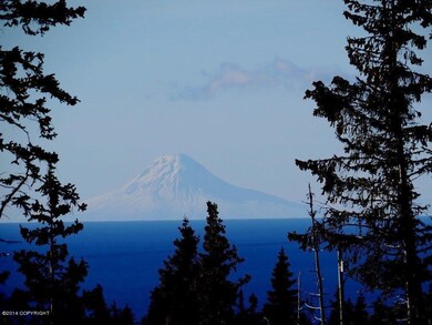 Volcano View