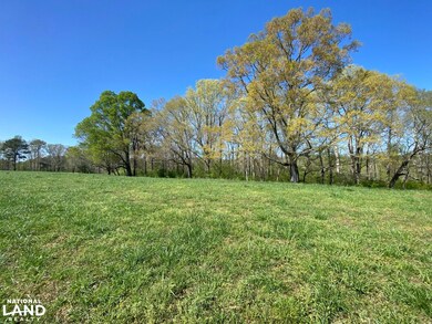 391 Co Rd 1171, Cullman, AL 35057 - photo 6