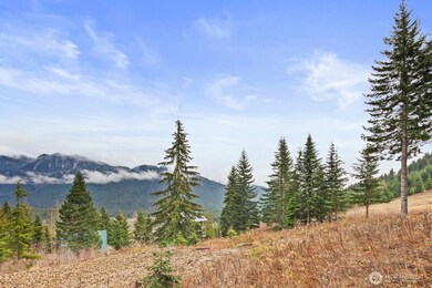 321 Innsbruck Dr, Snoqualmie Pass, WA 98068 - photo 3