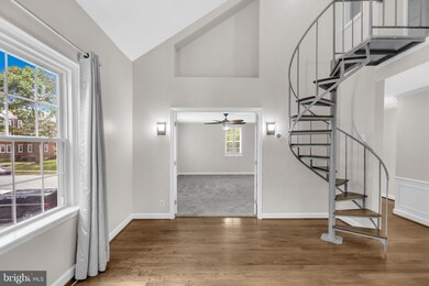 2931 S Columbus St unit B1, Arlington, VA 22206 - photo 6