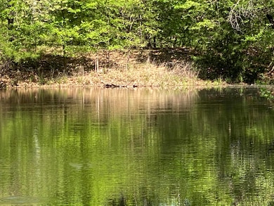 55600 E 319 Trail, Jay, OK 74346 - photo 5