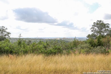8806 Terra Mont Way, San Antonio, TX 78255 - photo 2