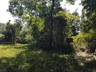 Jade ln tract 10 deer fd