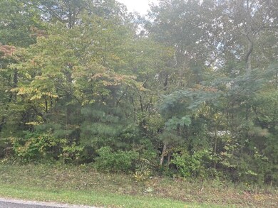 0 Old Seminary Rd, Manchester, TN 37355 - photo 2