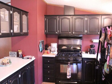 W7964 Somo Dam Dr, Tomahawk, WI 54487 - photo 4