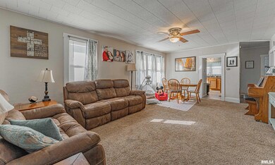 501 N Sherman St, Lincoln, IL 62656 - photo 4