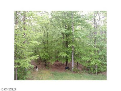 4131 Royal Ridge Ct, Louisa, VA 23093 - photo 5