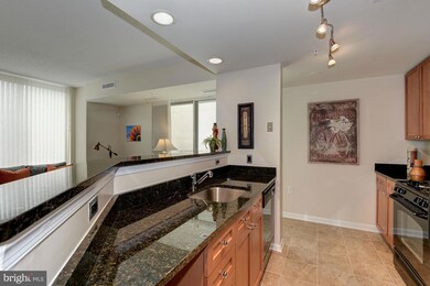 The Crescent unit 910, Silver Spring, MD 20910 - photo 3