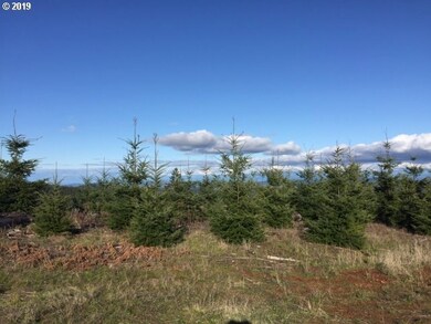 0 Oakdale Rd unit 591849589, Dallas, OR 97338 - photo 2