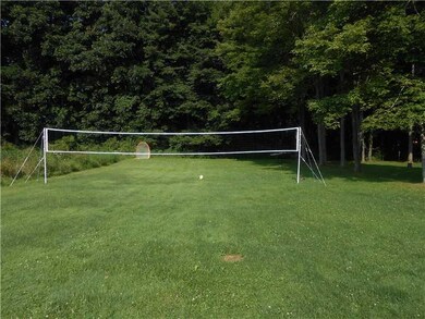 Yard/Garden.