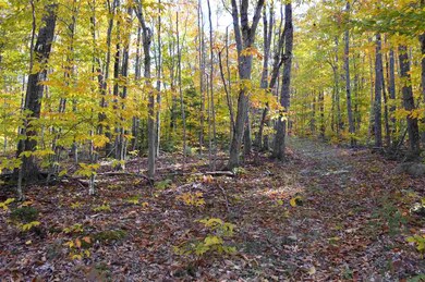 4 Mountain Rd unit 4, Tuftonboro, NH 03816 - photo 3