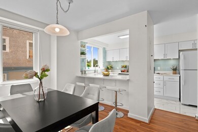 326 Franklin St unit 301, Cambridge, MA 02139 - photo 3