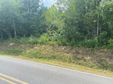 0 Crow Valley Rd unit 117147, Dalton, GA 30720 - photo 4