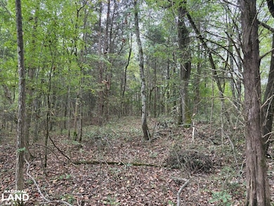 1200 Sand Ridge Rd, Lexington, TN 38351 - photo 7