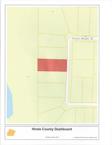 737 Forest Woods Dr unit 48, Byram, MS 39272 - photo 3