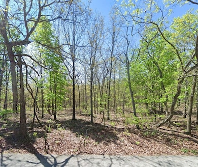 0 David Hall Blvd, Eucha, OK 74342 - photo 2