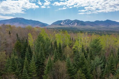 Map 8 Lot 22 Indian Pipe Rd, Franconia, NH 03580 - photo 5