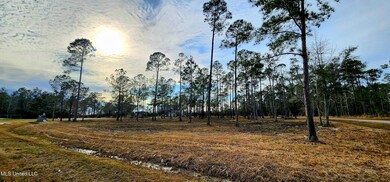 Lots 48-52 Kalaepohuku Dr, Diamondhead, MS 39525 - photo 7