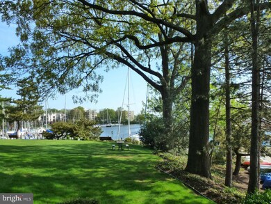 764 Fairview Ave unit B, Annapolis, MD 21403 - photo 4