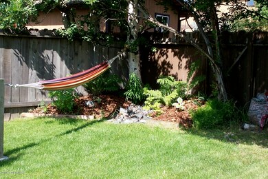 Back Yard In  Summer