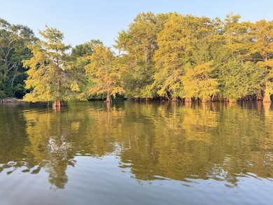 0 Timberland unit 11542662, Many, LA 71449 - photo 2