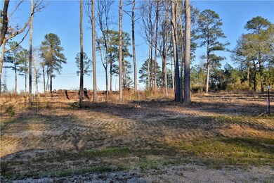 0 Sophie Ln unit Lot 36 CN164366, Dry Prong, LA 71423 - photo 4