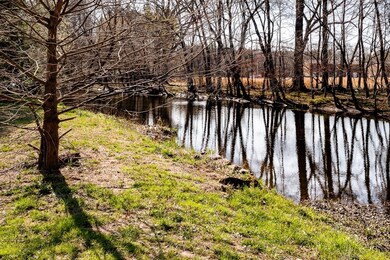 334 Shelton Rd, Manchester, TN 37355 - photo 6