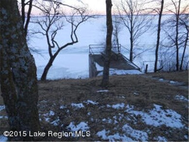 38638 Eldorado Beach Rd, Battle Lake, MN 56515 - photo 7