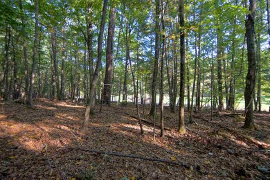 25 Martine Cottage Rd, Portsmouth, NH 03801 - photo 6