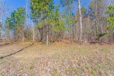 1755 River Bluffs Dr, Jasper, TN 37347 - photo 6