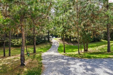 Storybook path.
