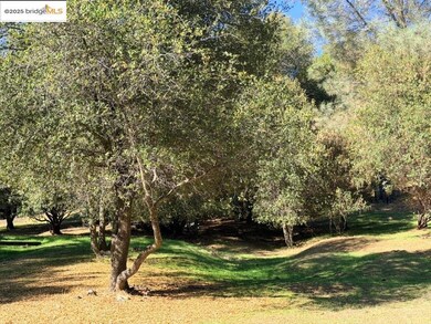 unlisted-address, Groveland, CA 95321 - photo 4