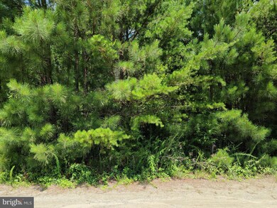 13221 Brooke Ridge Ln, Spotsylvania, VA 22551 - photo 6