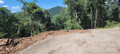 36 Destination Dr, Waynesville, NC 28786 - photo 2