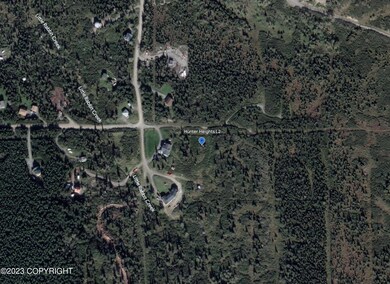 Google Earth View